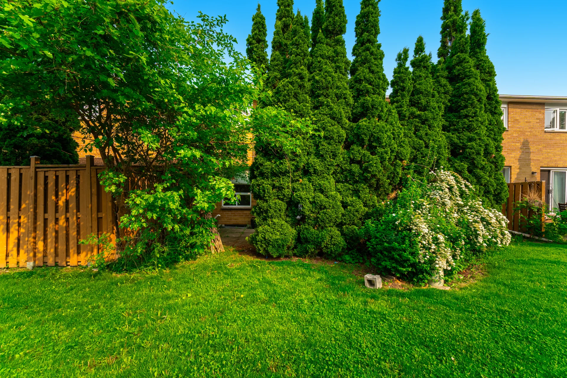#49-550 Steddick Court, Mississauga - photo 43