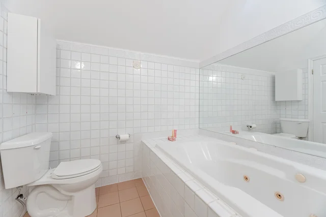 17 Maclean Avenue, Toronto - photo 45