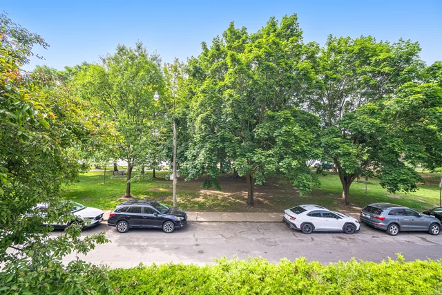 17 Maclean Avenue, Toronto - photo 65