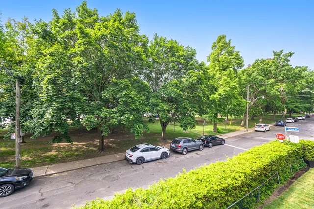 17 Maclean Avenue, Toronto - photo 66