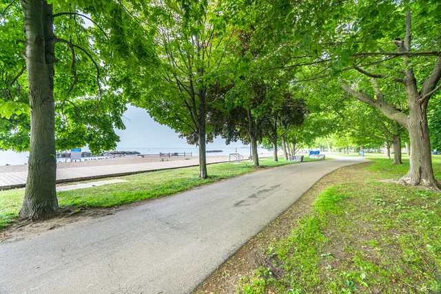 17 Maclean Avenue, Toronto - photo 79