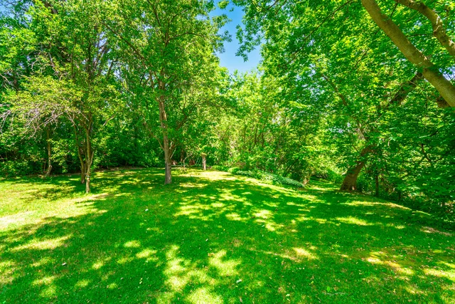 390 Main Street, Schomberg - photo 91