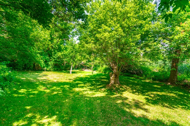 390 Main Street, Schomberg - photo 92