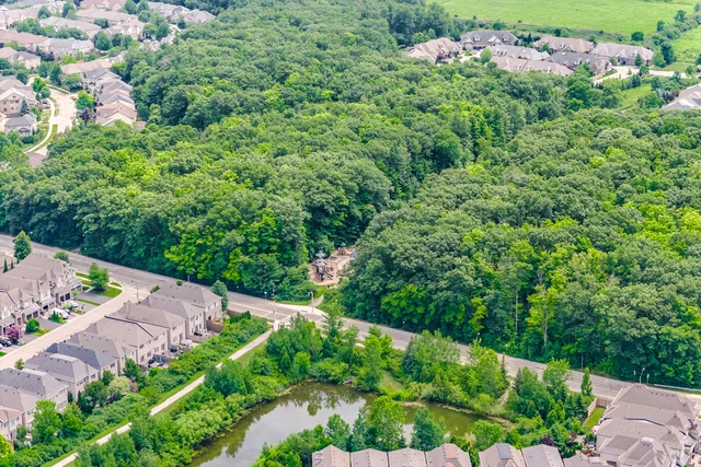3137 Scotscraig Crescent, Oakville - photo 92