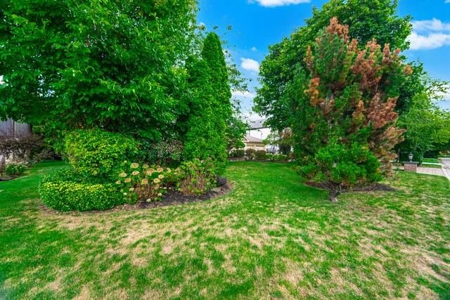 2197 Courrier Lane, Mississauga - photo 13