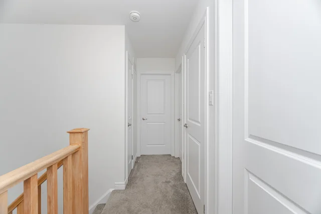 14 Dryden Lane, Hamilton - photo 29