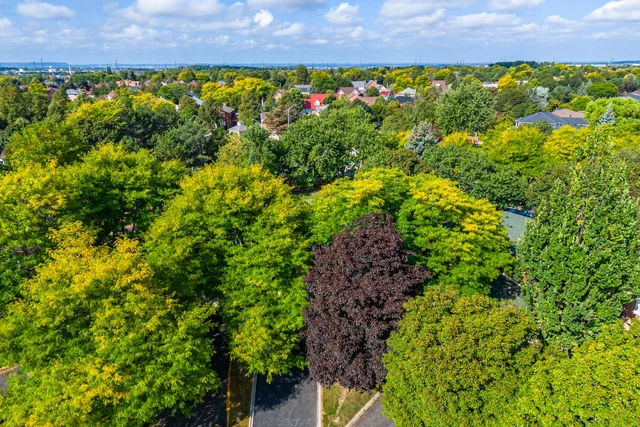 3228 Colebrook Court, Mississauga - photo 11