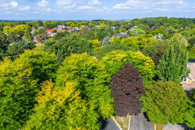 3228 Colebrook Court, Mississauga - photo 12