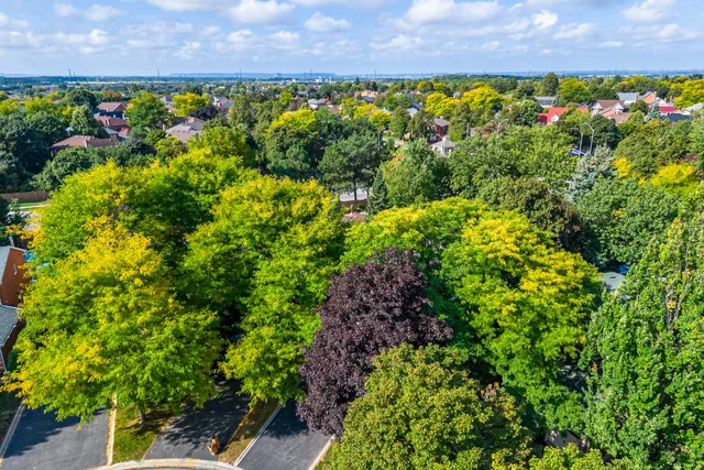 3228 Colebrook Court, Mississauga - photo 13