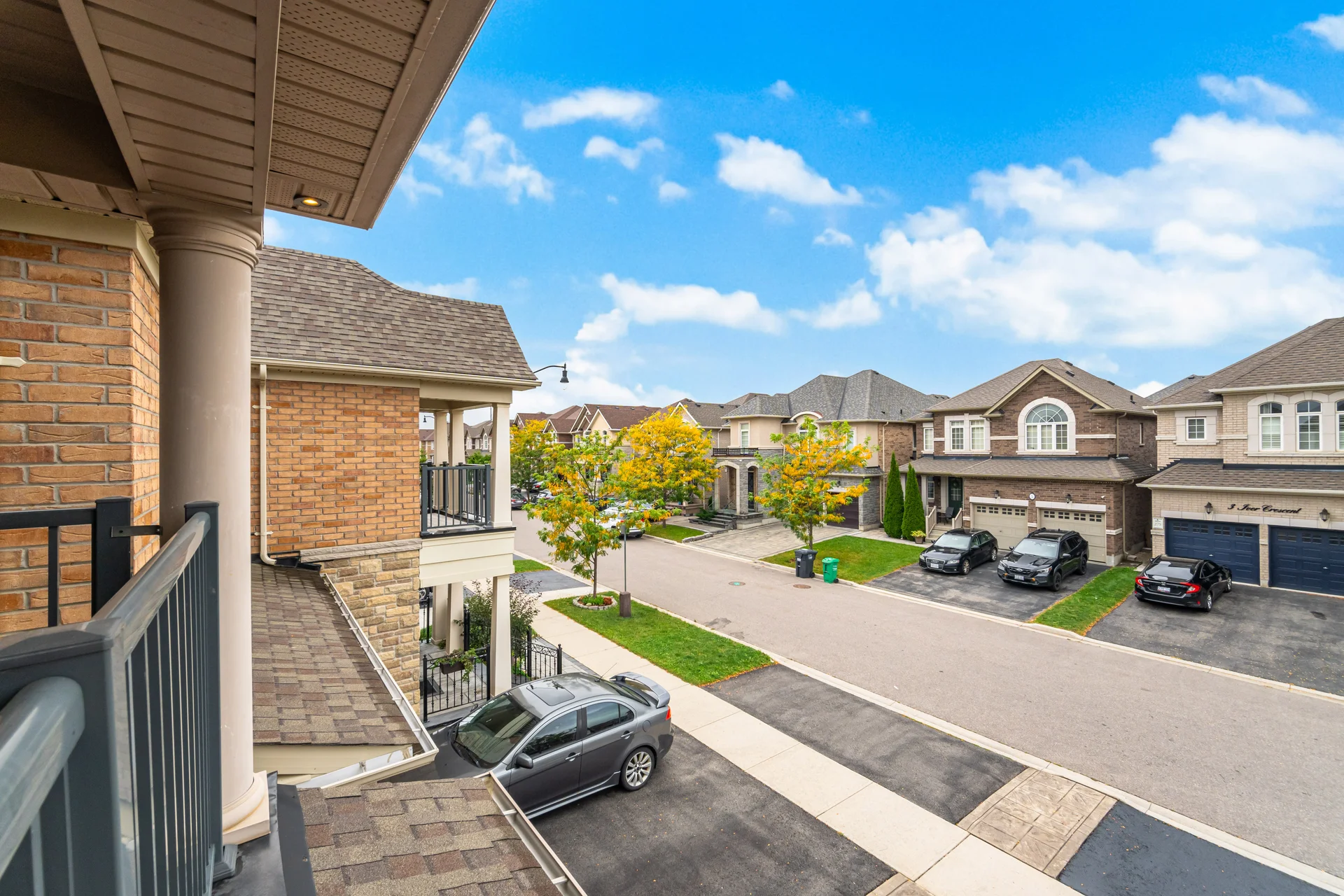 3445955