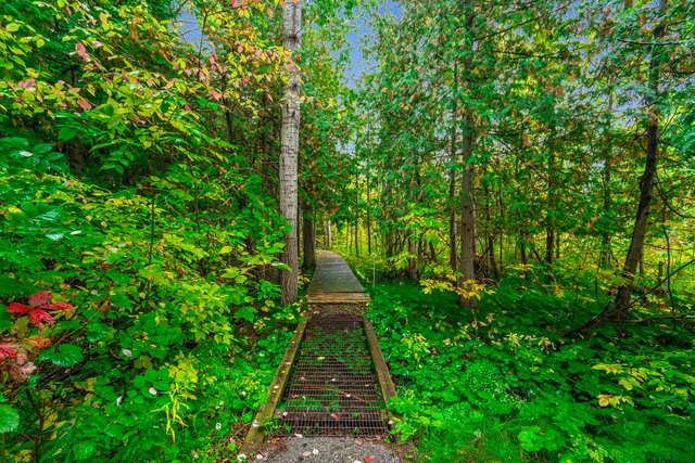 3162 Line 12th, Bradford West Gwillimbury - photo 61