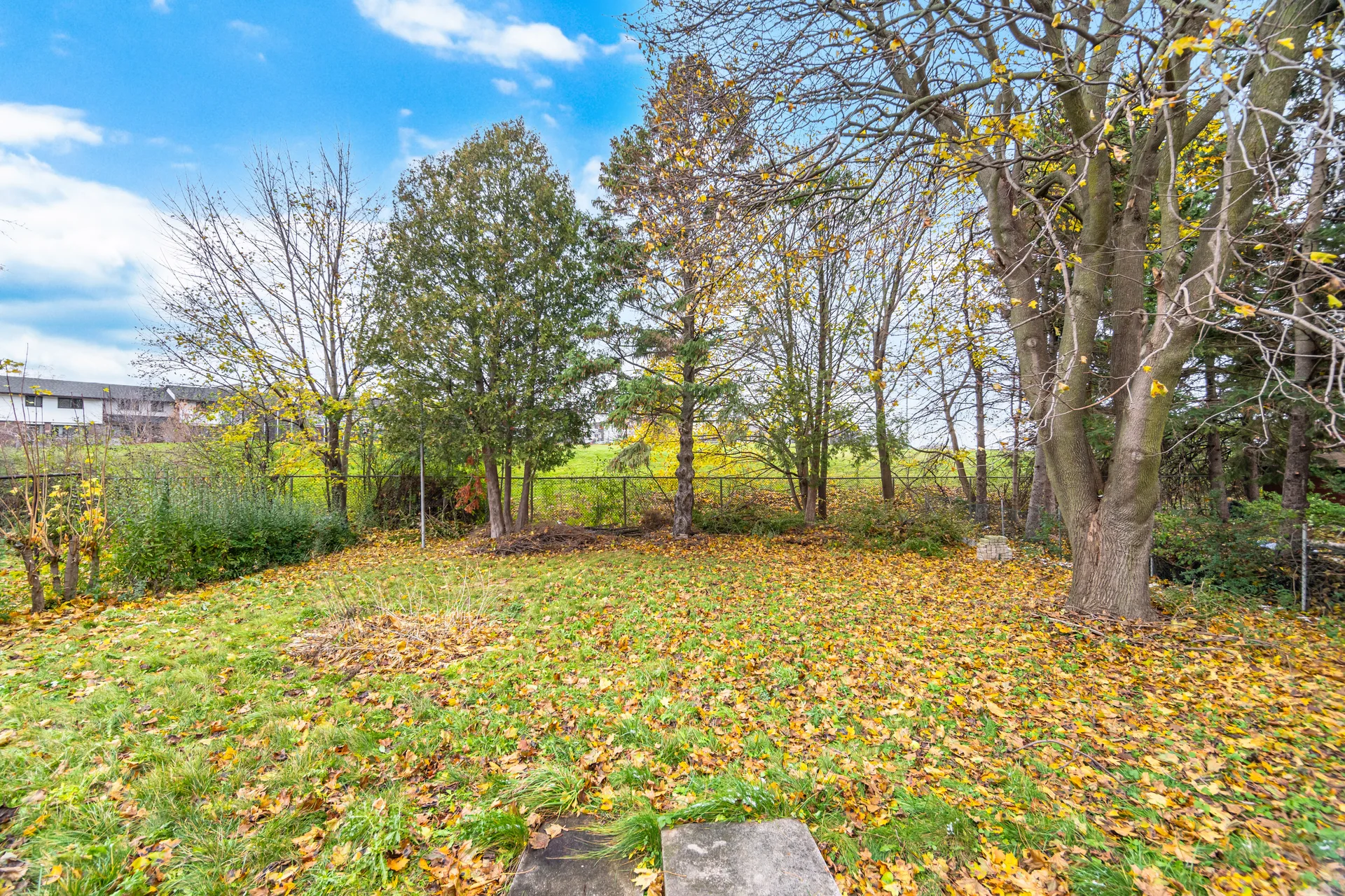 406 Tamarack Drive, Waterloo - photo 53
