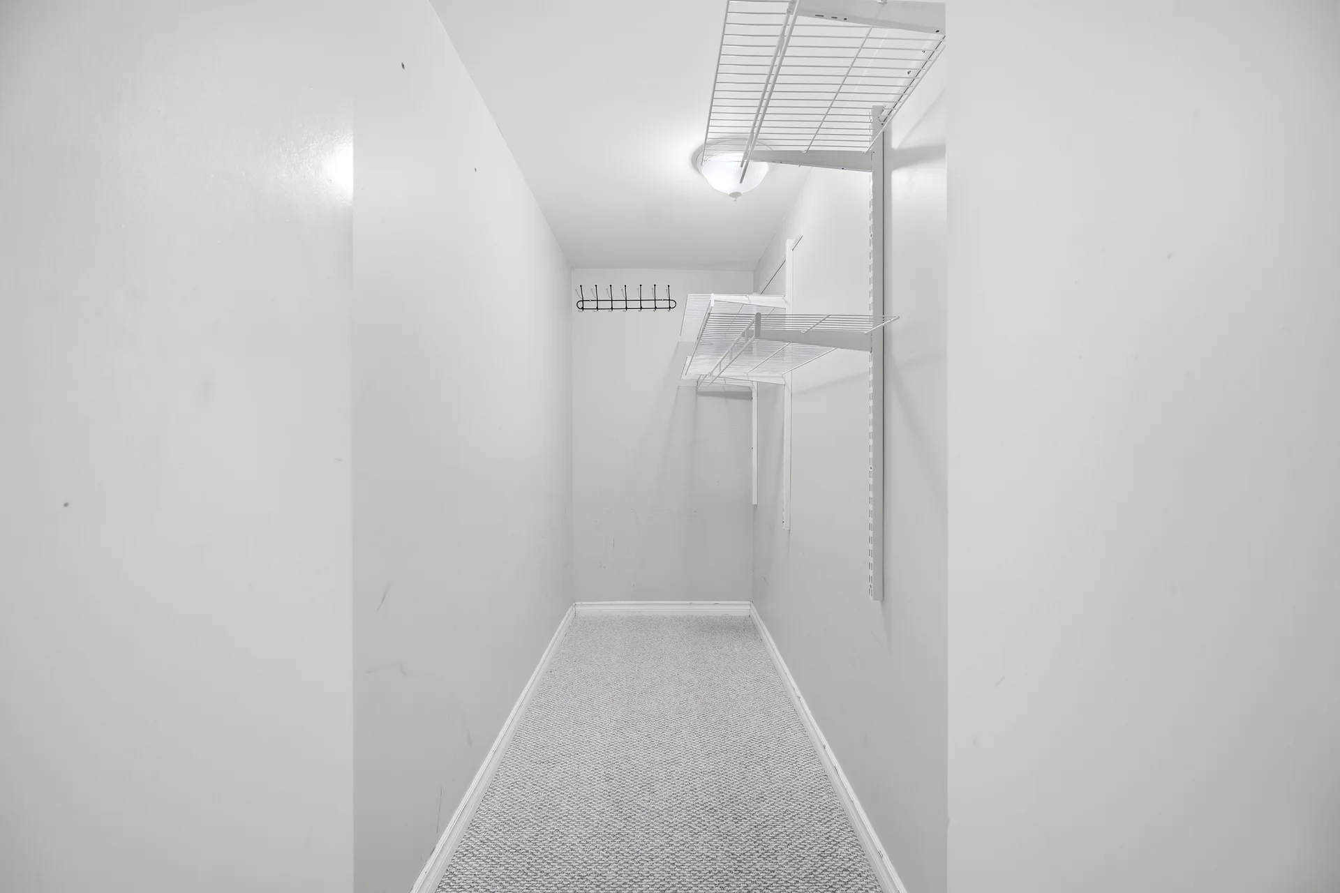 3526576