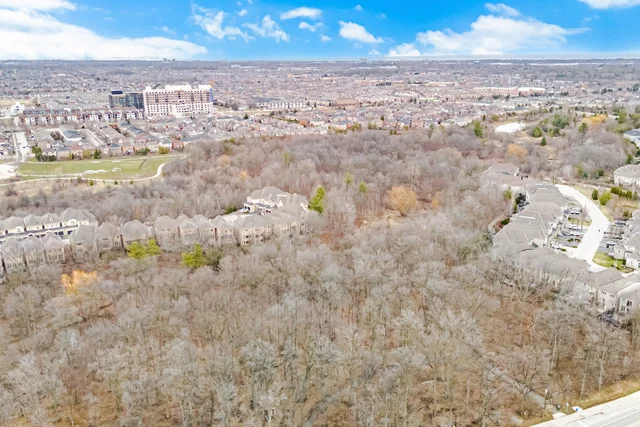 3409 Liptay Avenue, Oakville - photo 118