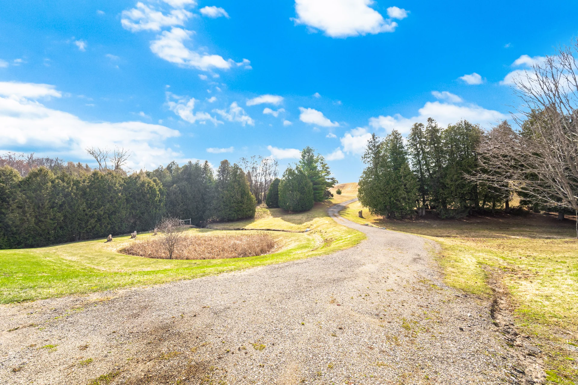 6785 Highway 9, Caledon - photo 85