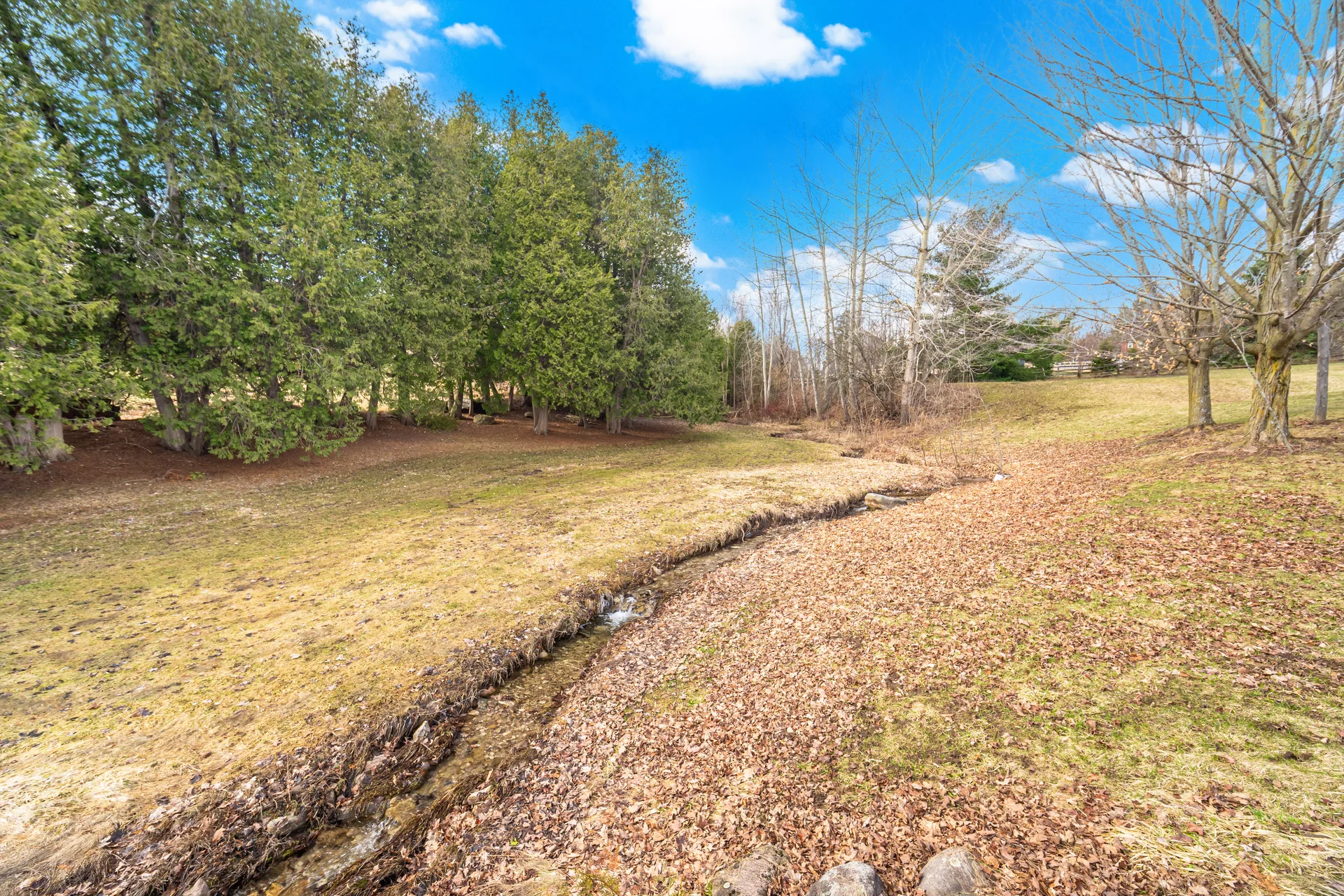 6785 Highway 9, Caledon - photo 86