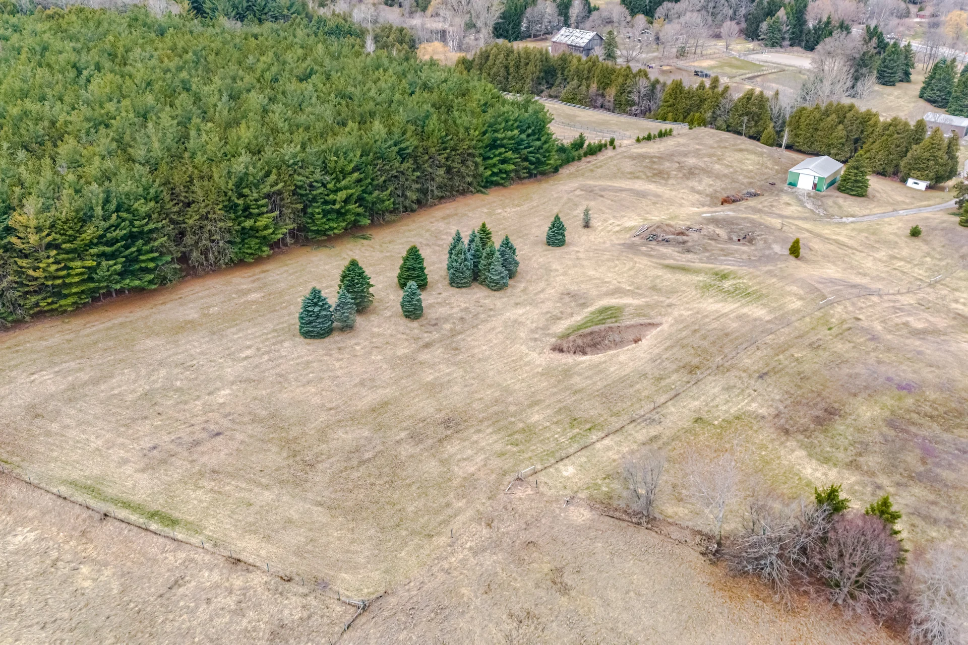 6785 Highway 9, Caledon - photo 100