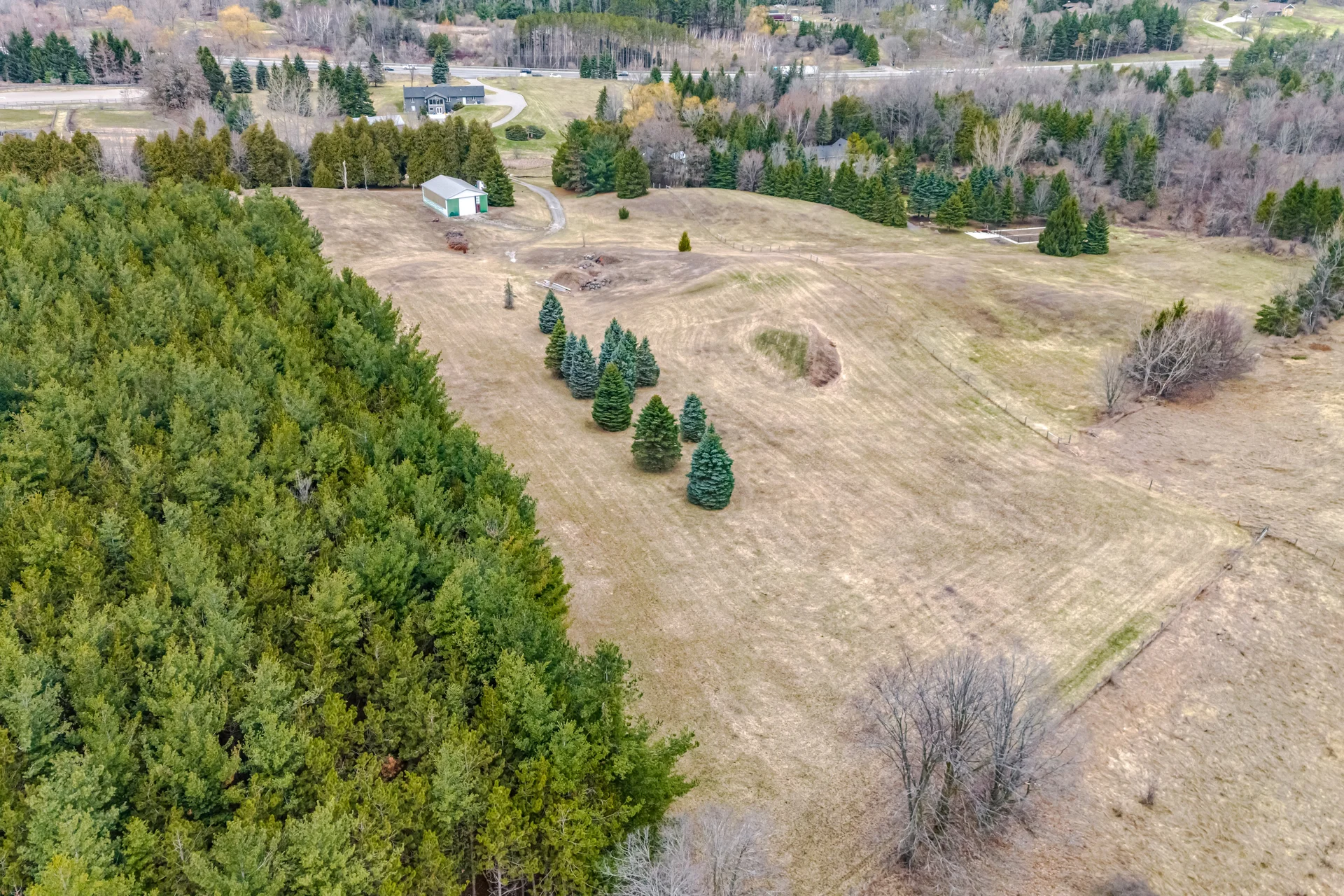 6785 Highway 9, Caledon - photo 101