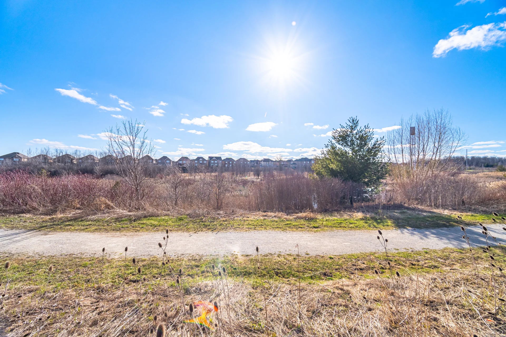 38 Leadenhall Road, Brampton - photo 62