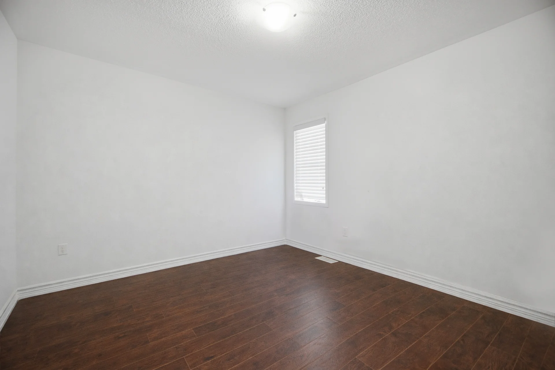 38 Leadenhall Road, Brampton - photo 35