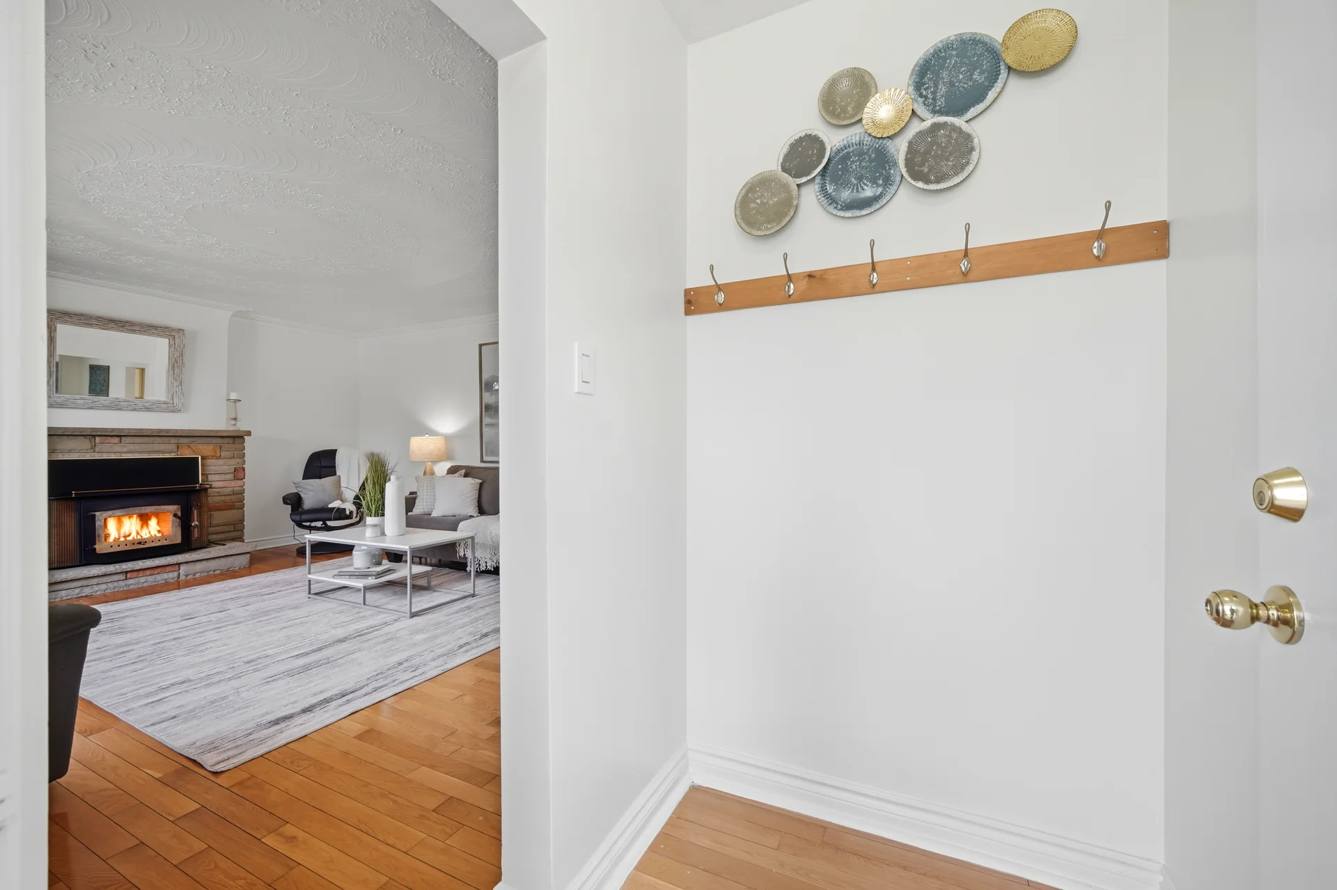 3564509