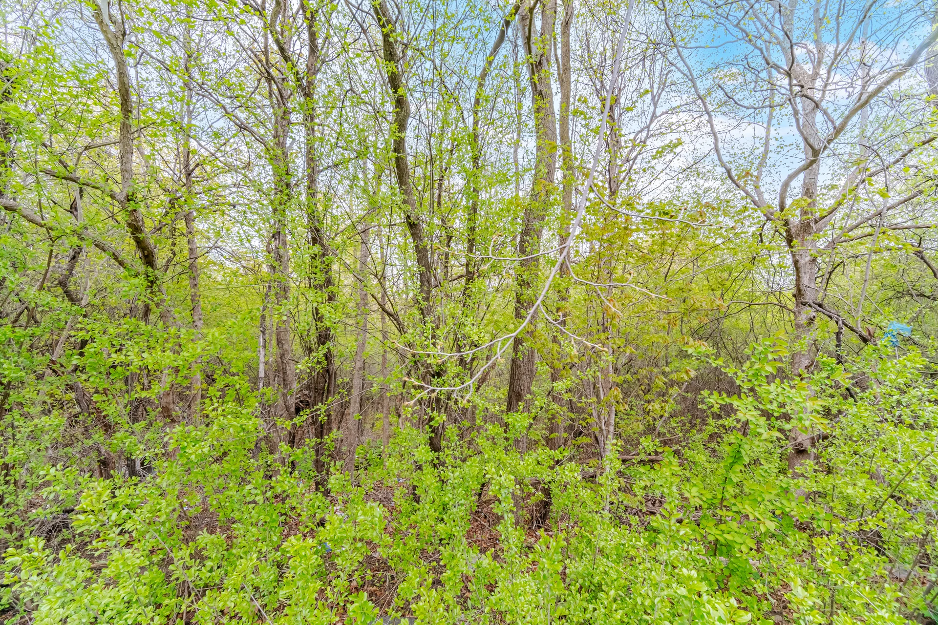 22 Cosmo Court, Brampton - photo 95