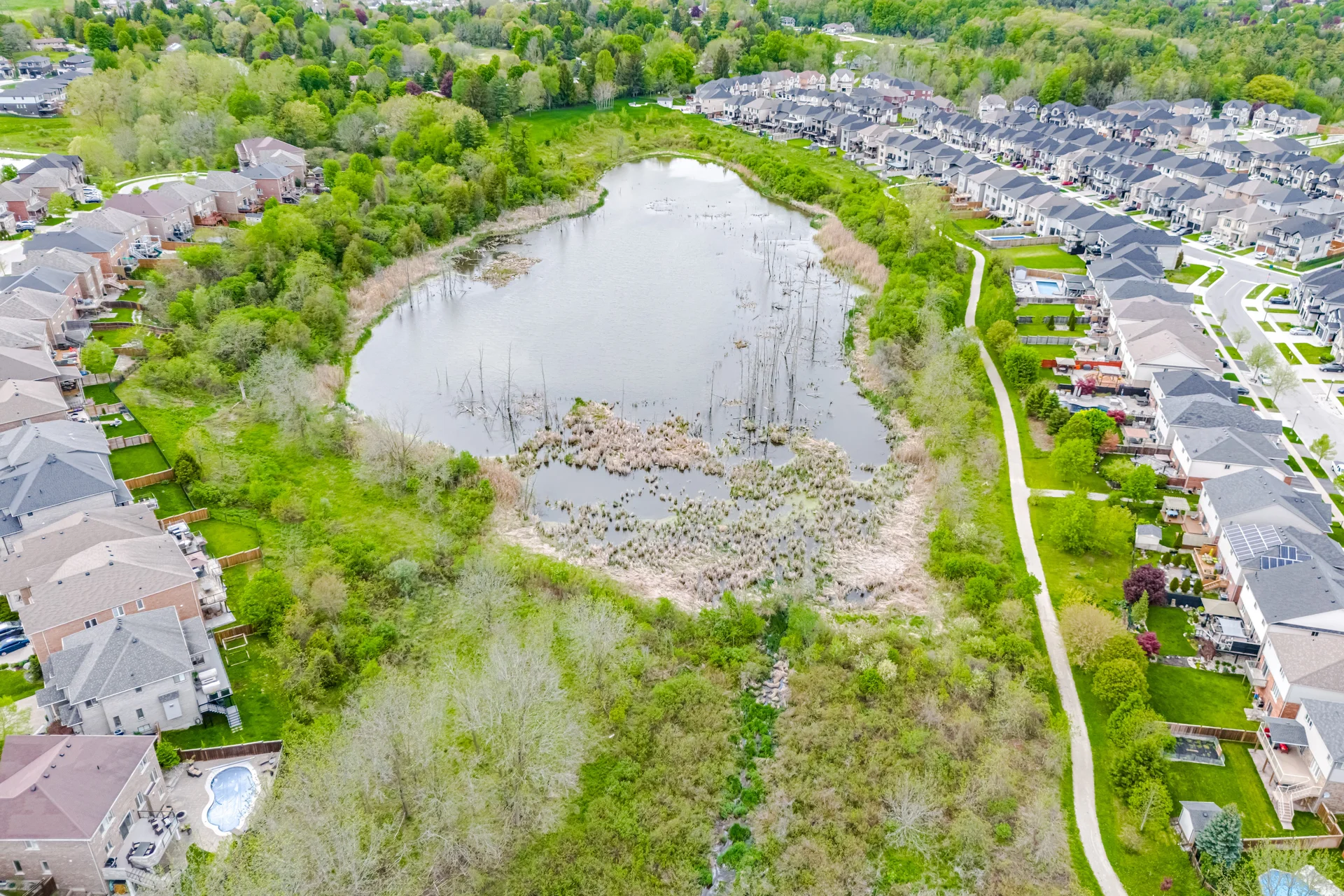3604489