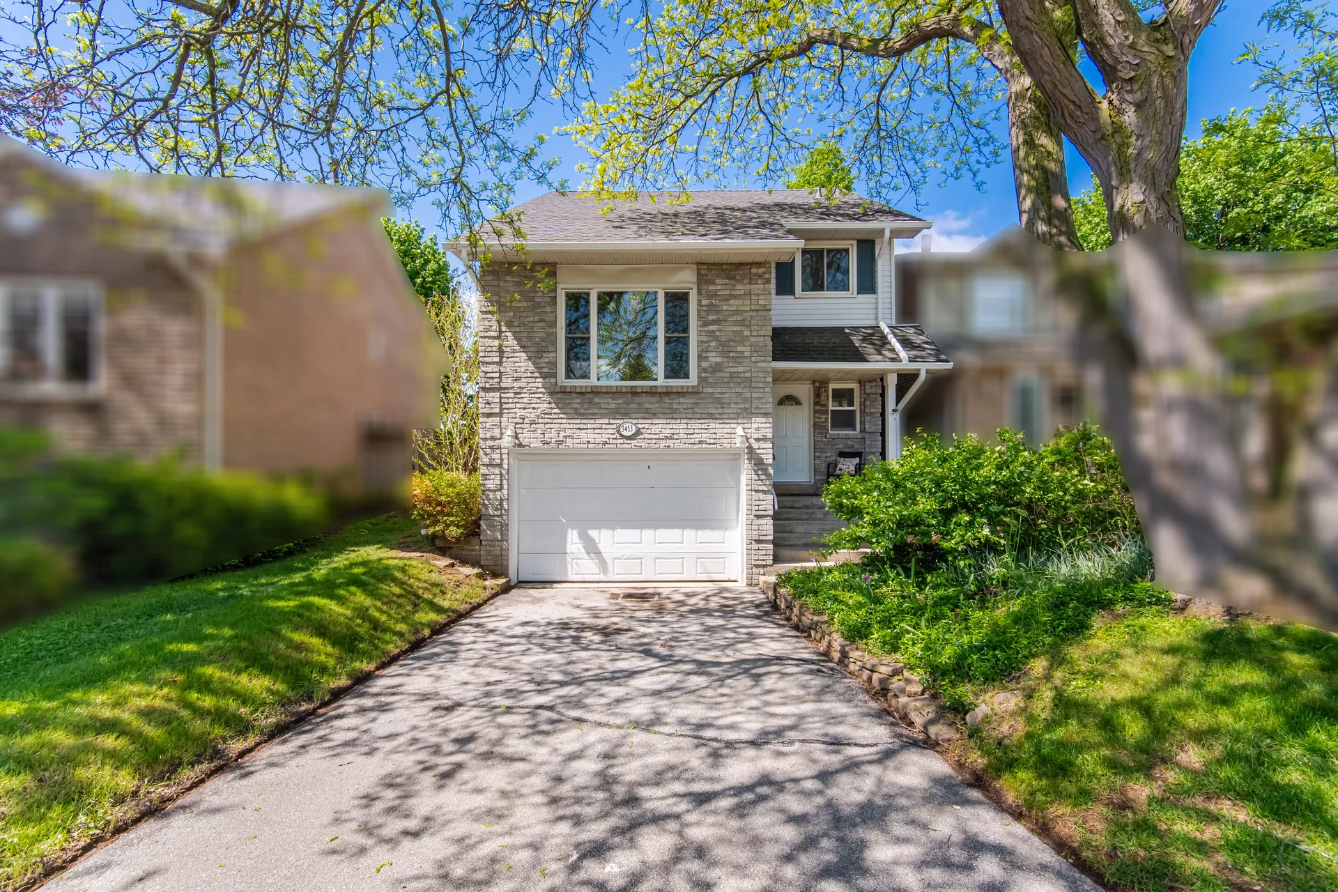 3609906