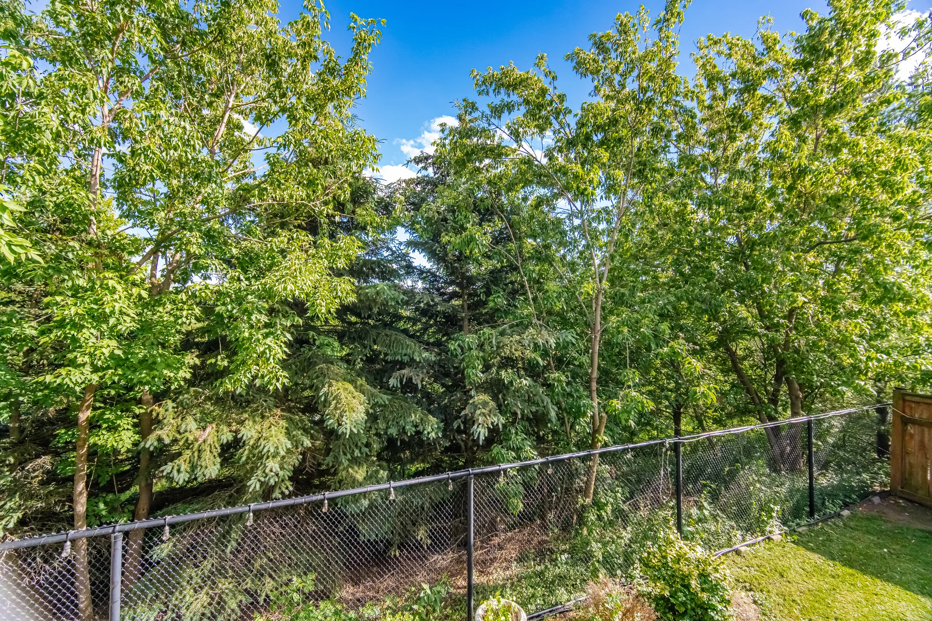 62 Lost Pond Crescent, Whitchurch-Stouffville - photo 61