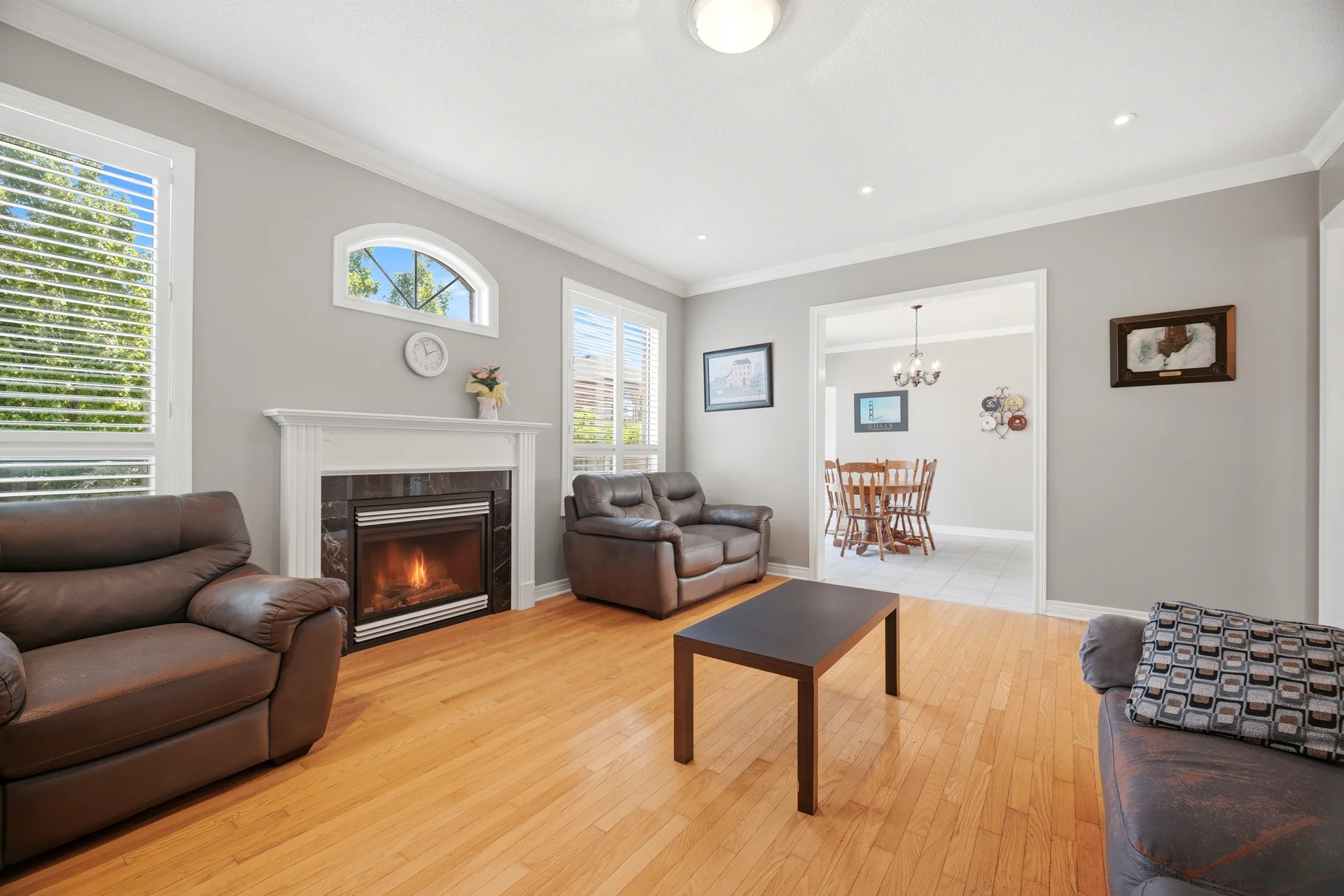 3629043
