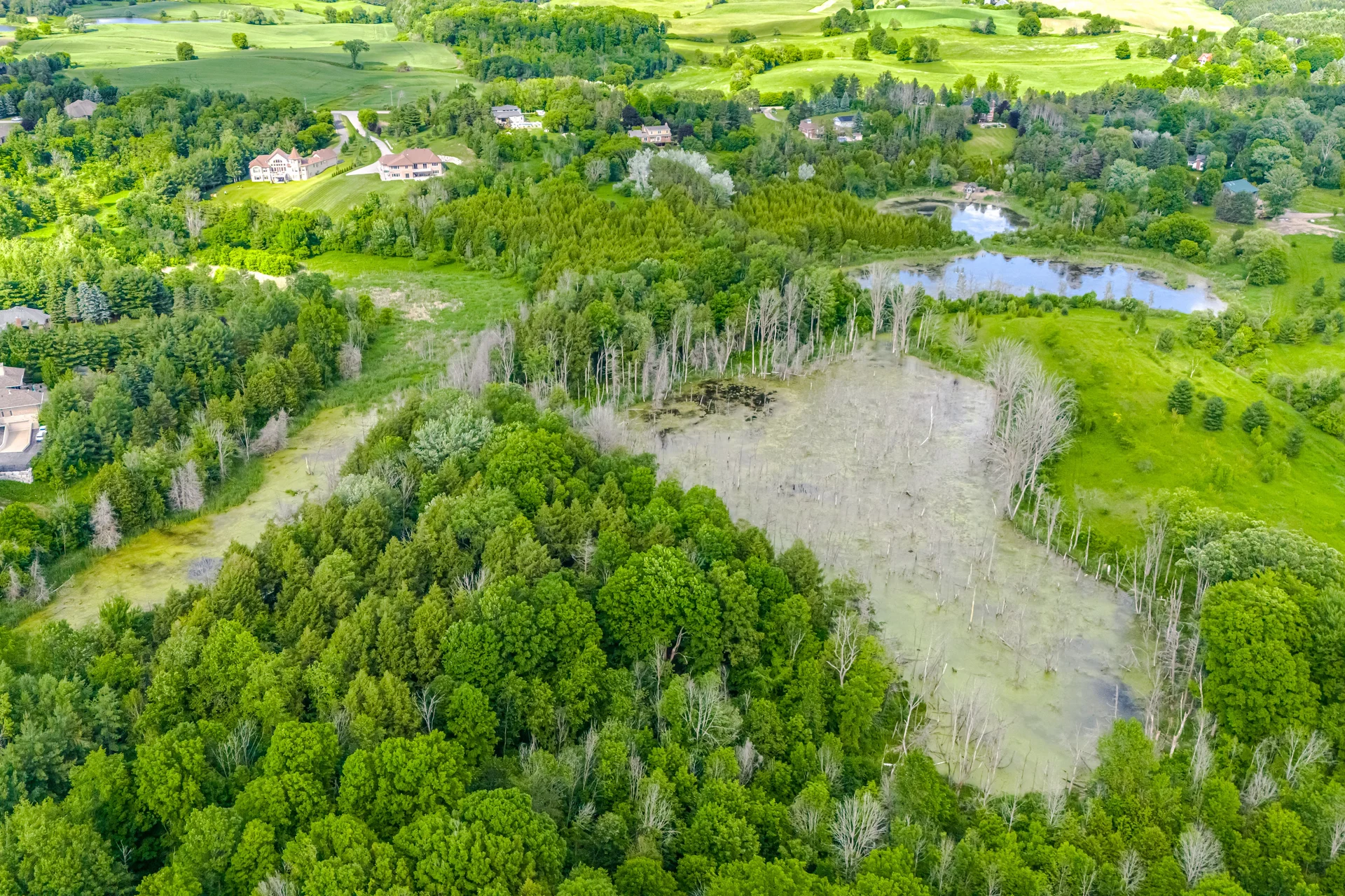 10 Valley Hill Drive, Caledon - photo 97