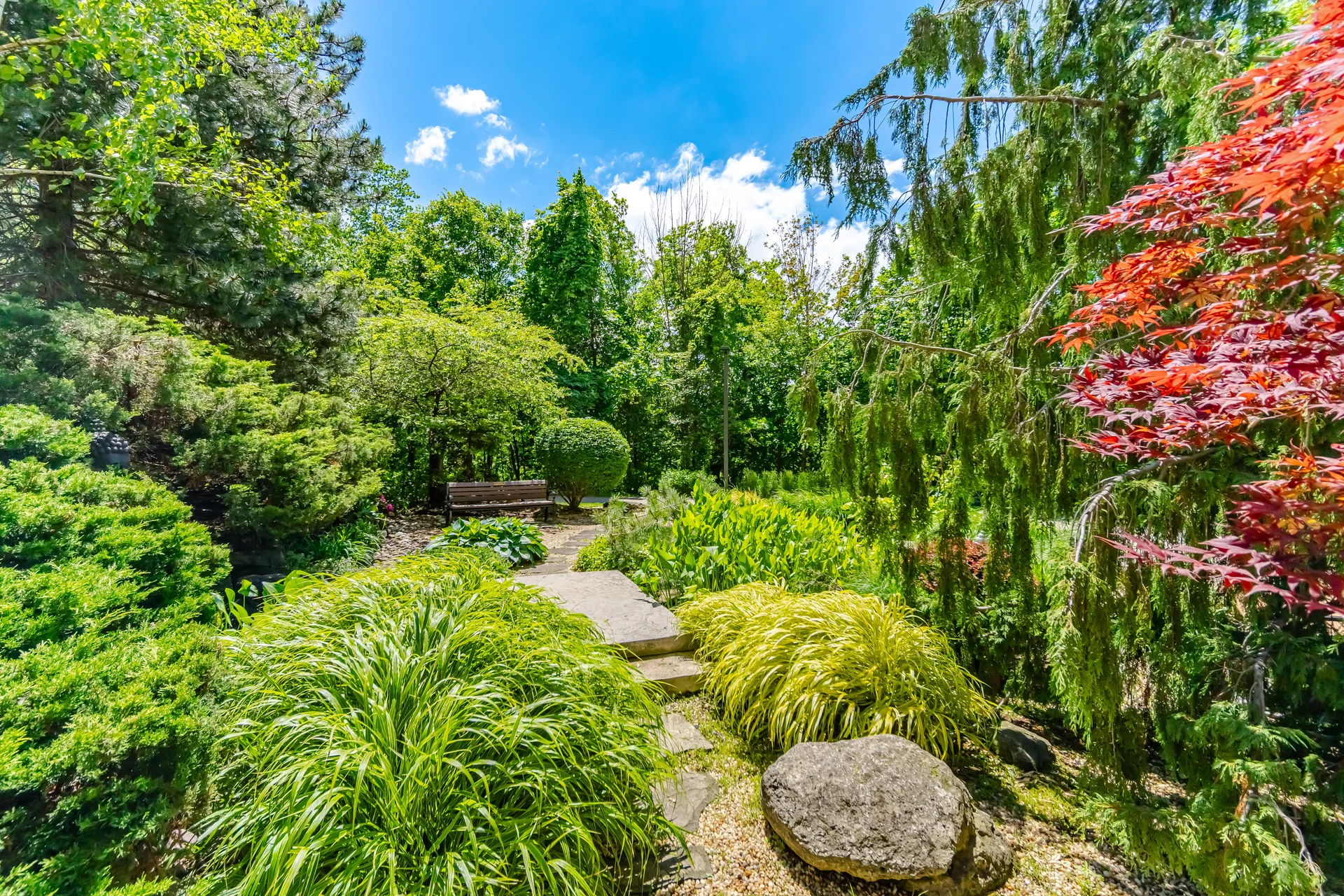 3633354