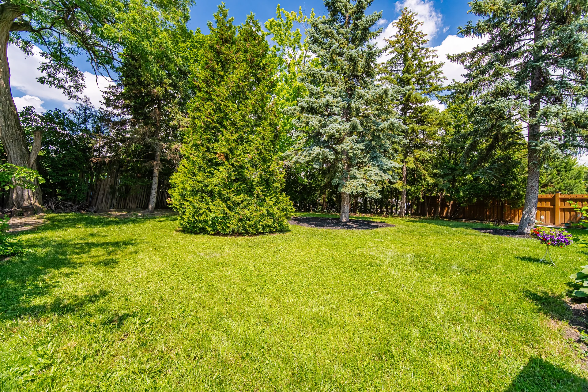 74 Ringway Crescent, Etobicoke - photo 72