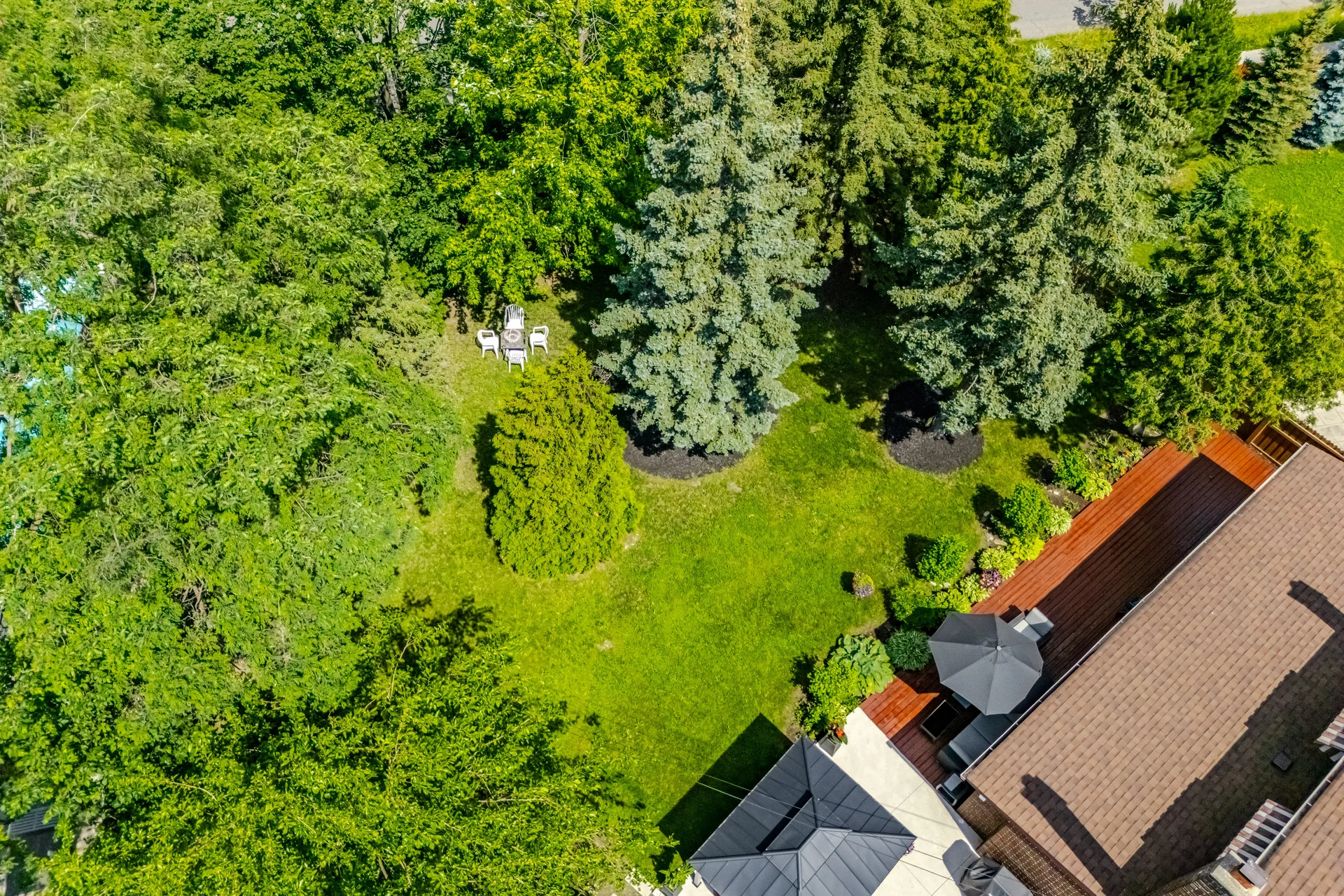 74 Ringway Crescent, Etobicoke - photo 78