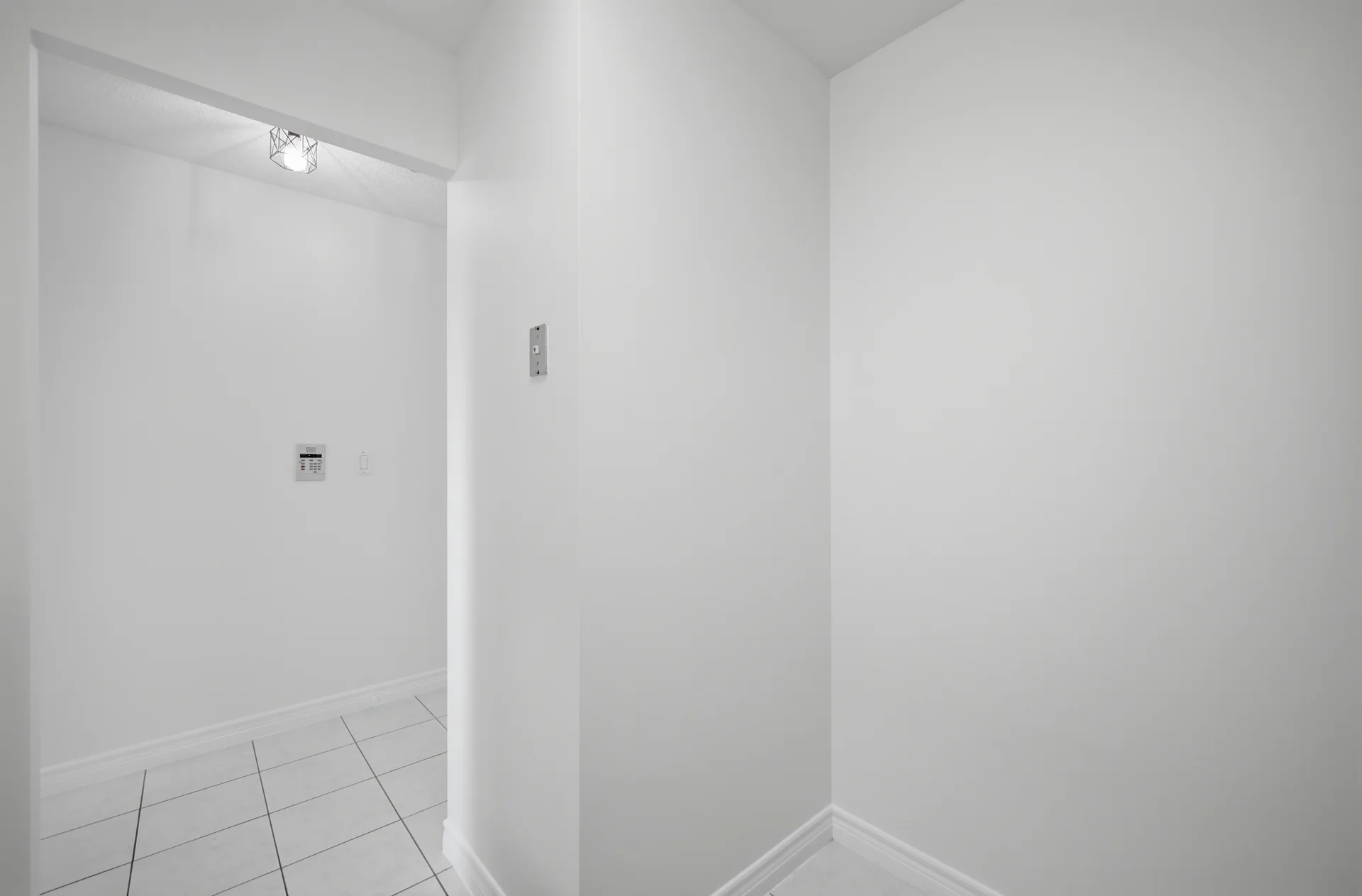 3655003