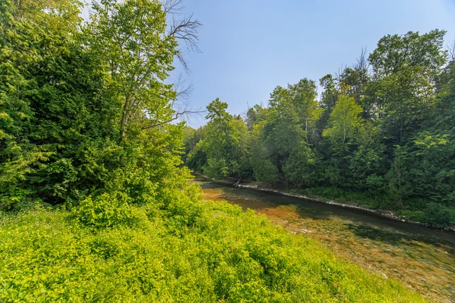 6337 Line 13, Alliston - photo 48