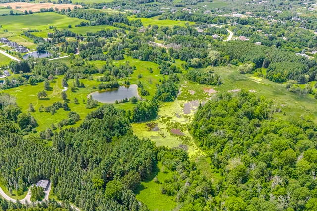 15441 Mount Pleasant Road, Caledon - photo 5