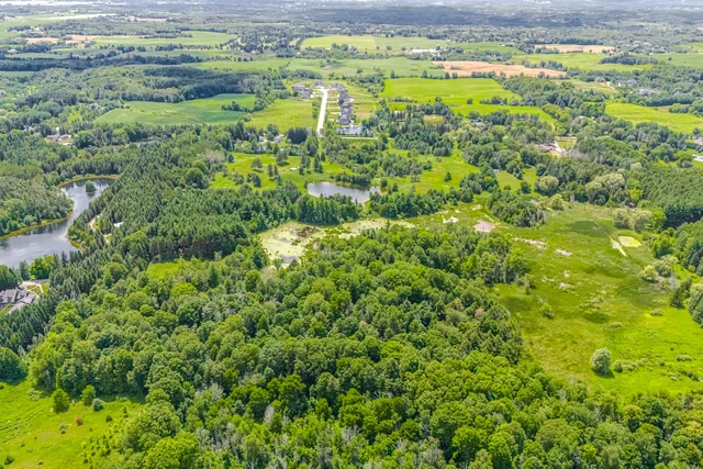 15441 Mount Pleasant Road, Caledon - photo 6