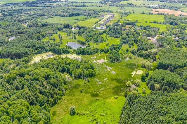 15441 Mount Pleasant Road, Caledon - photo 7