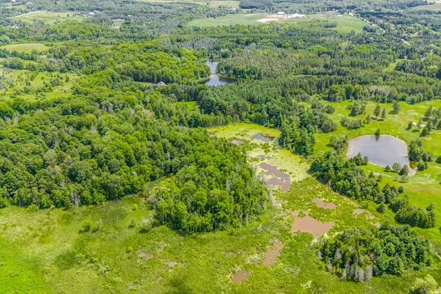 15441 Mount Pleasant Road, Caledon - photo 8