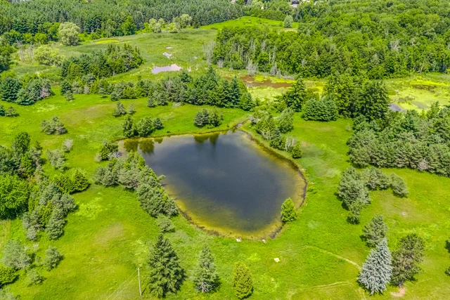 15441 Mount Pleasant Road, Caledon - photo 9