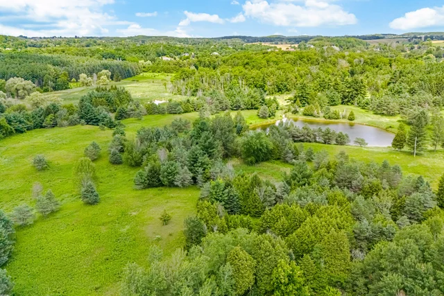 15441 Mount Pleasant Road, Caledon - photo 10