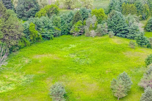 15441 Mount Pleasant Road, Caledon - photo 11
