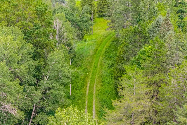 15441 Mount Pleasant Road, Caledon - photo 13