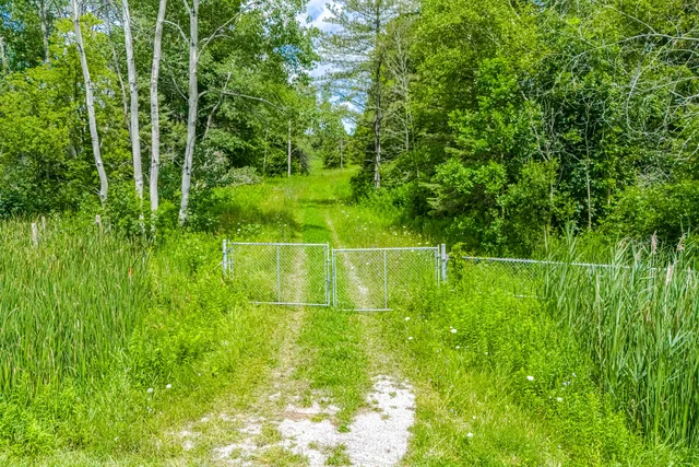 15441 Mount Pleasant Road, Caledon - photo 15