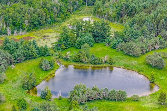 15441 Mount Pleasant Road, Caledon - photo 16