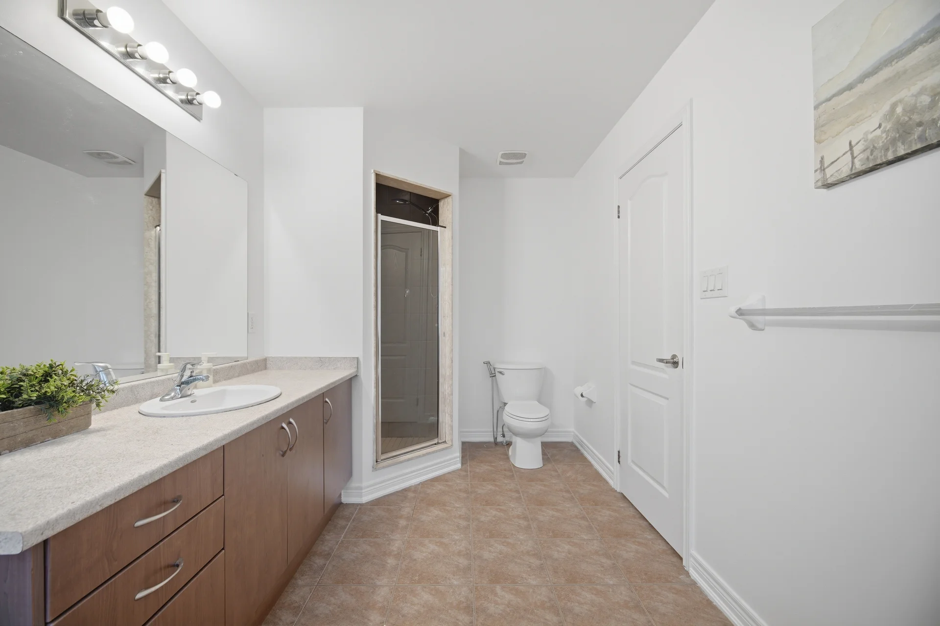3666258