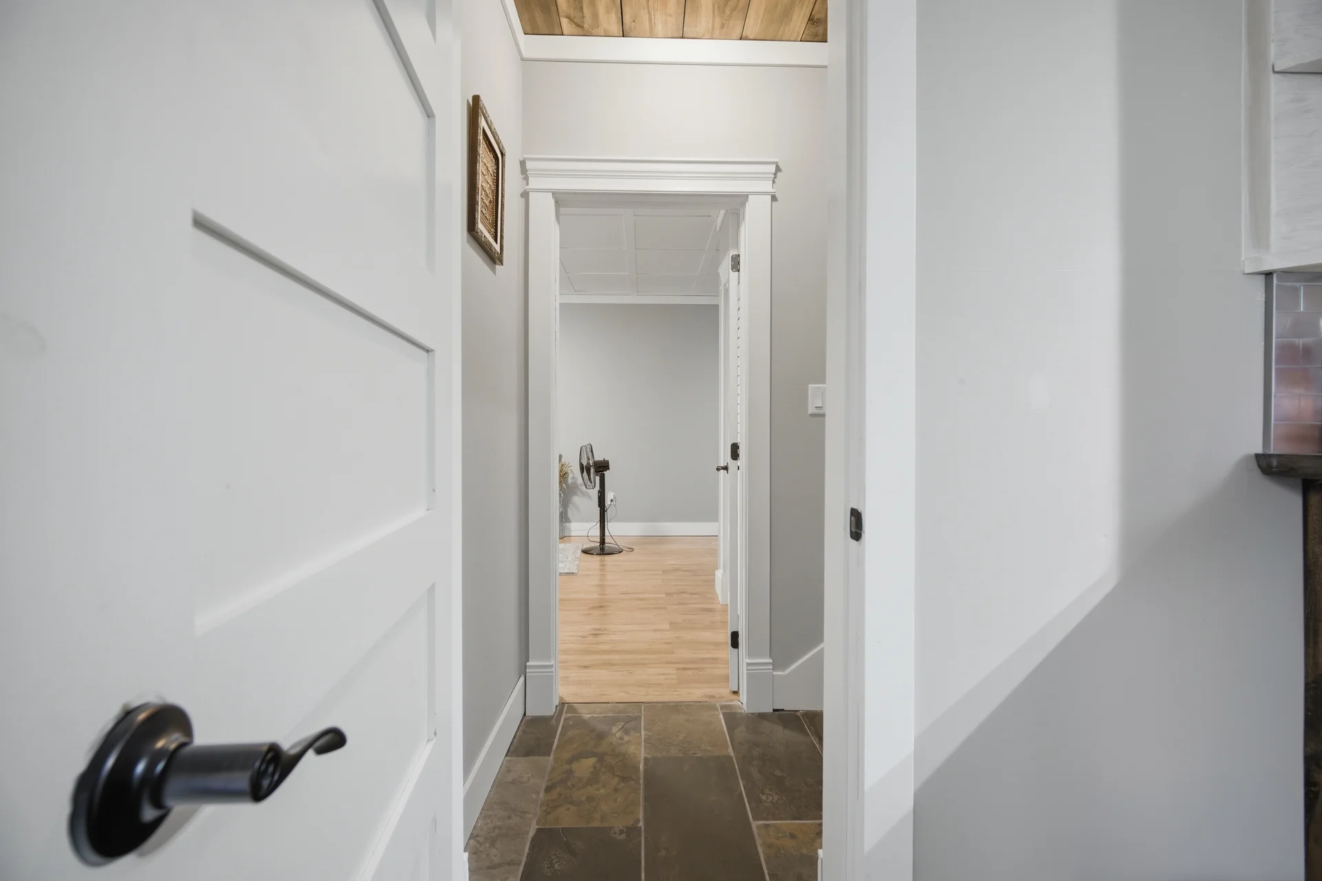 3666544