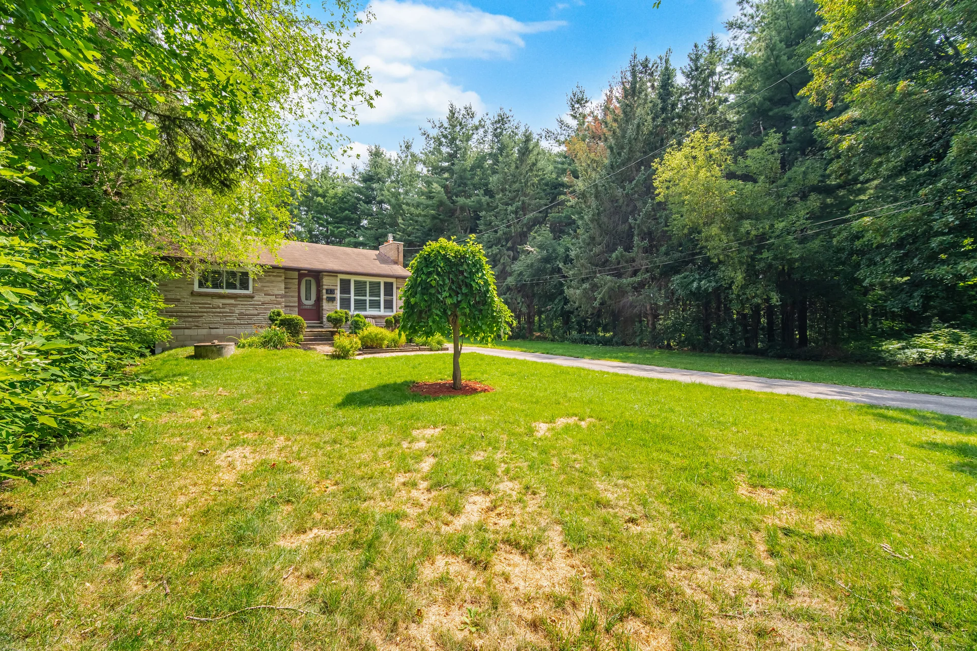 43 Maple Avenue, Inglewood - photo 13