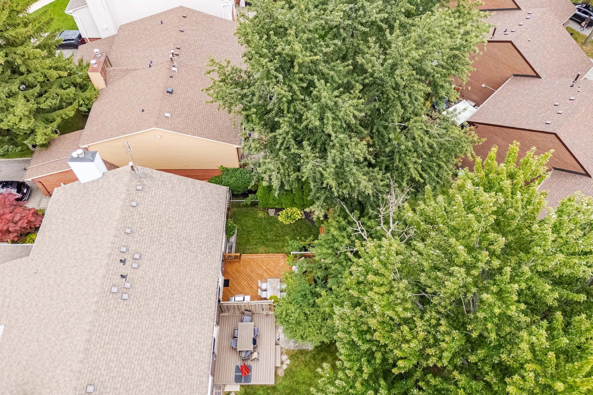 6298 Starfield Crescent, Mississauga - photo 81